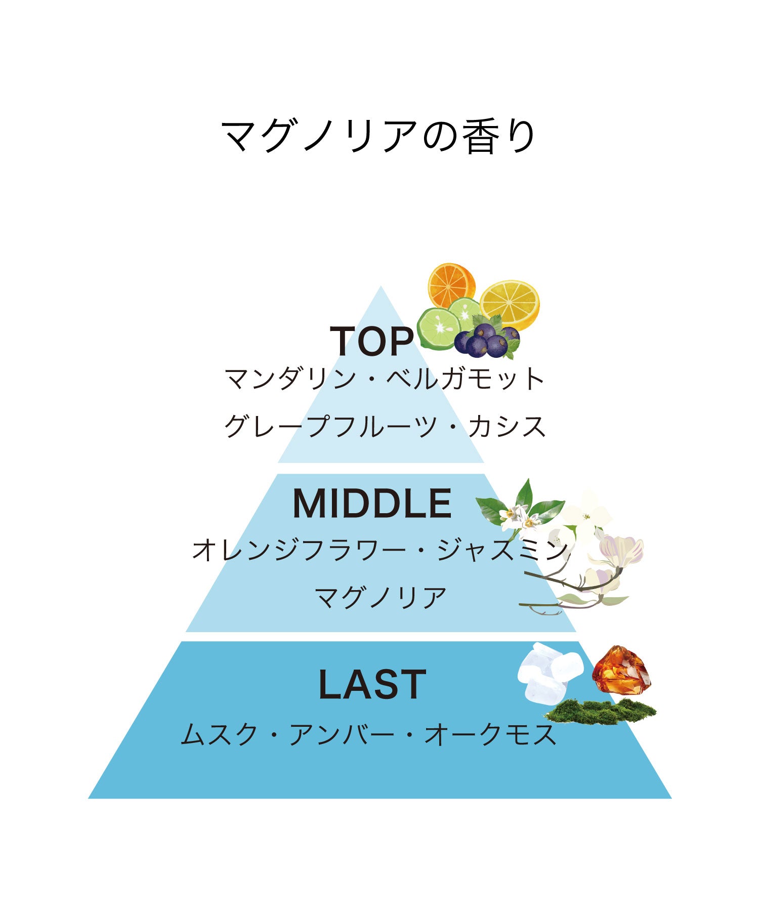 track パフューム 20ml|マグノリア