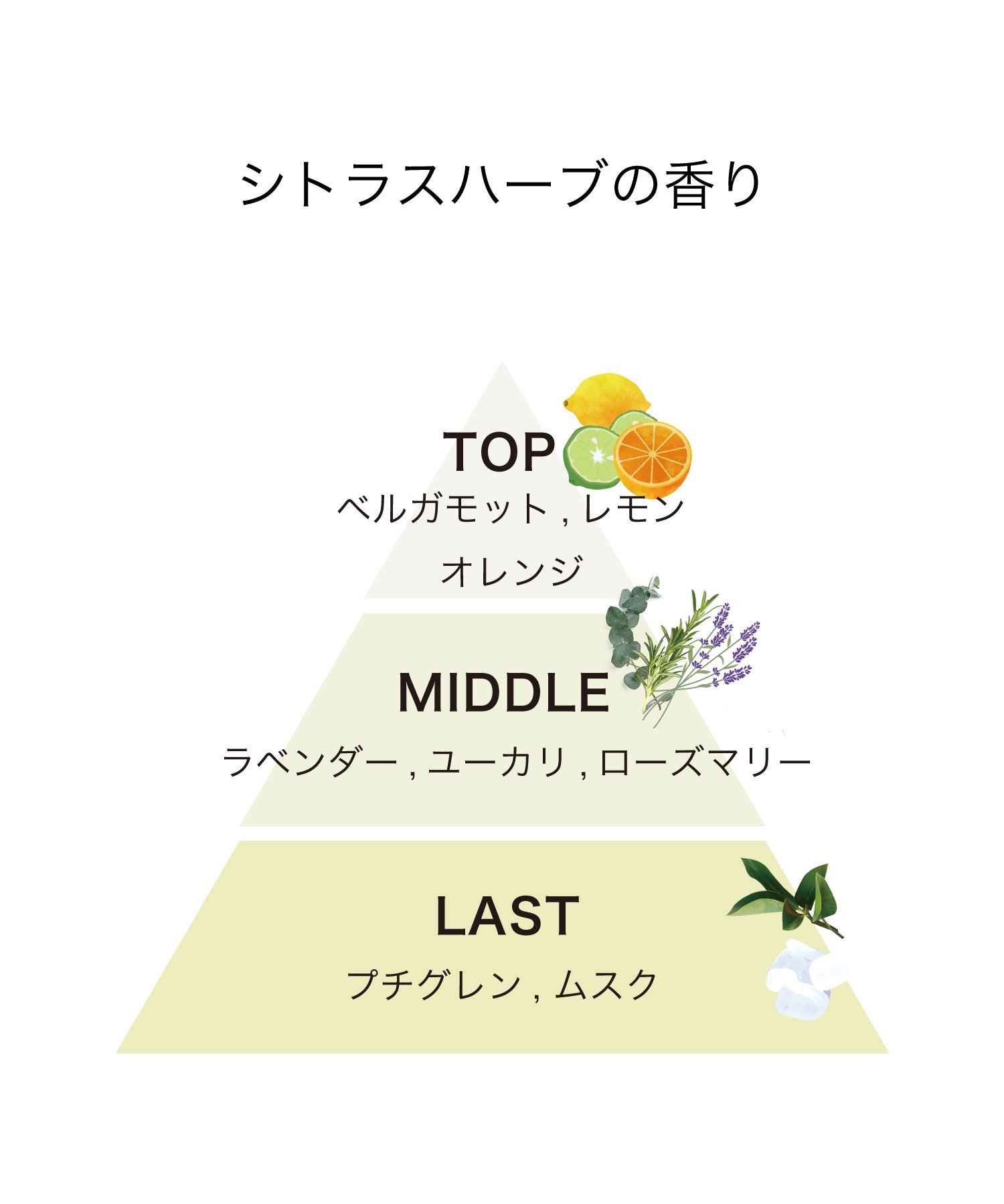 track オイル 30ml|No.2 シトラスハーブ