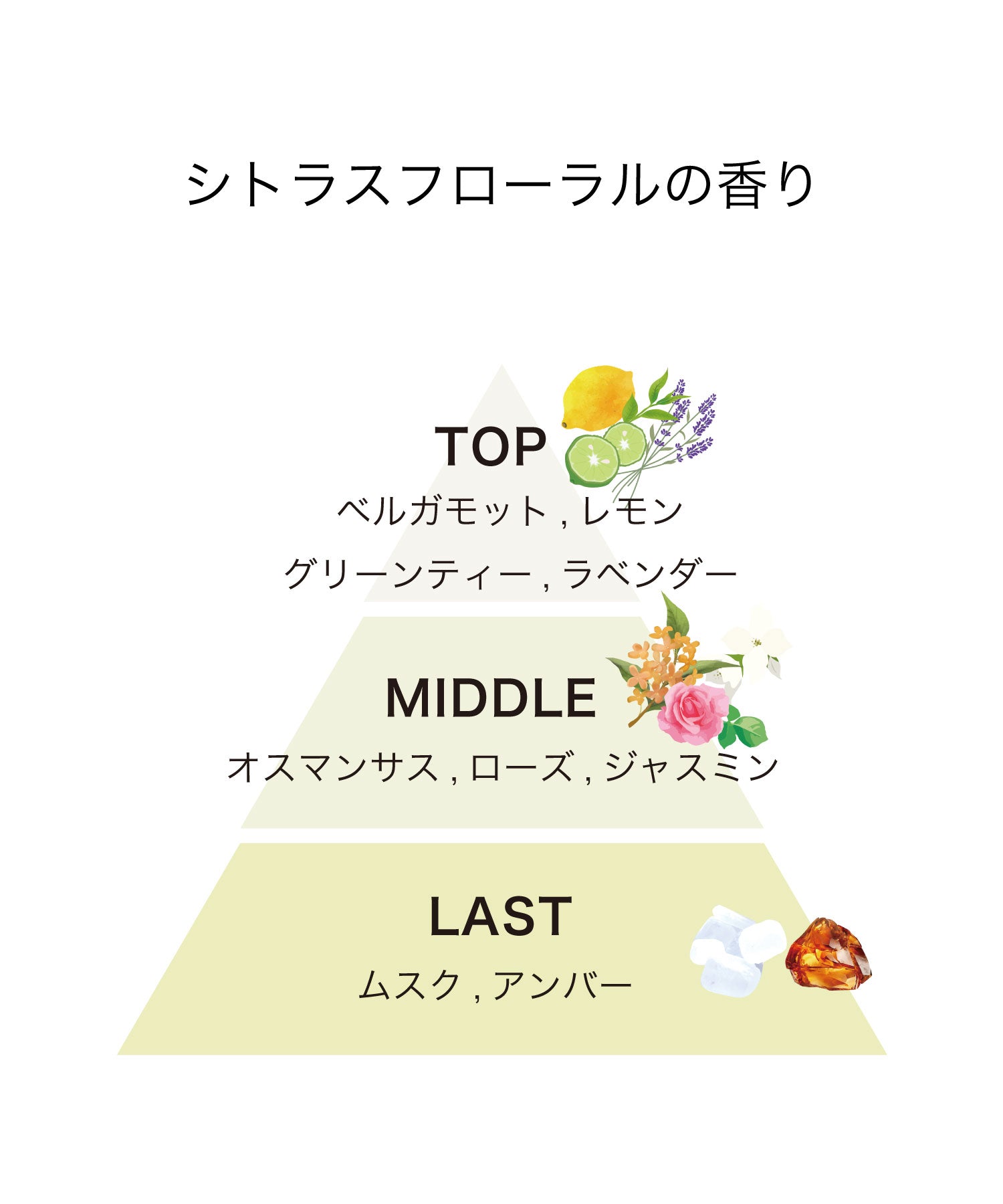 track オイル 30ml|NO.3 シトラスフローラル