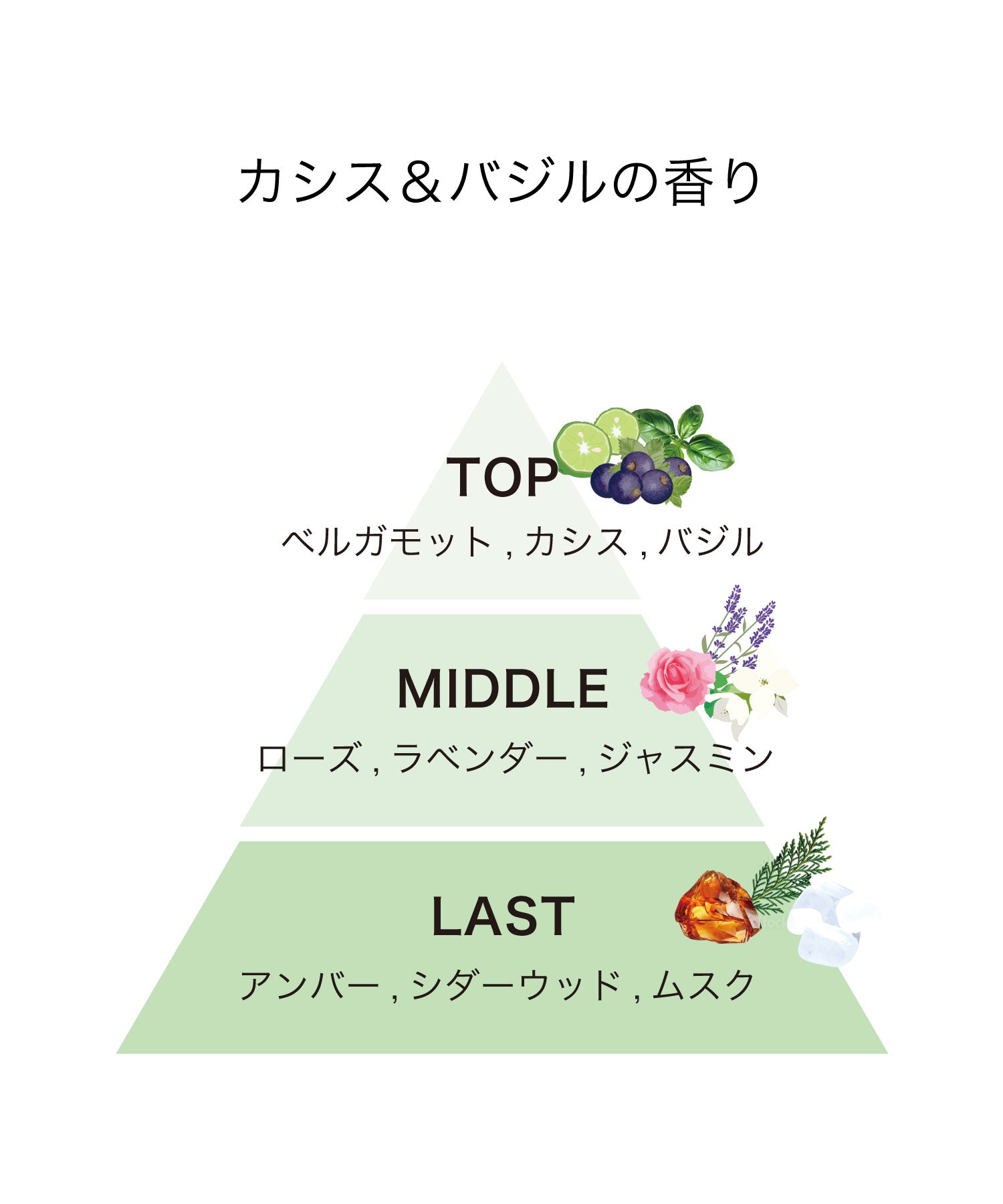 track ボディソープ|カシス & バジル