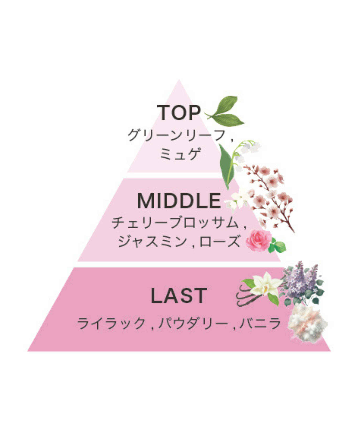 track オイル 30ml｜サクラ