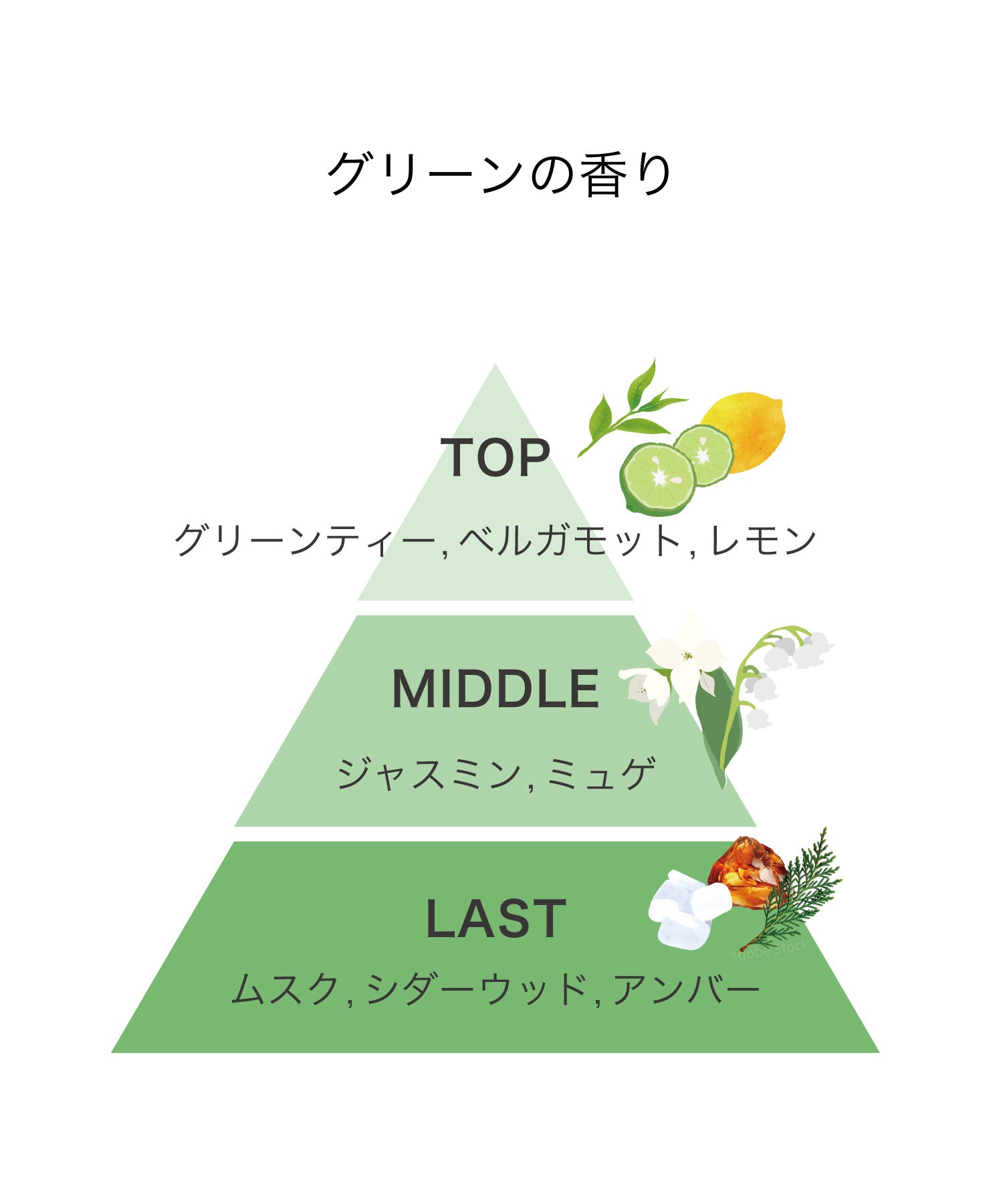 track Etiquette mist｜グリーン